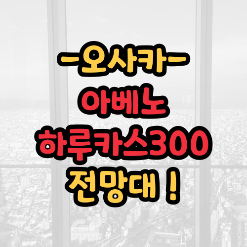 아베노 하루카스300